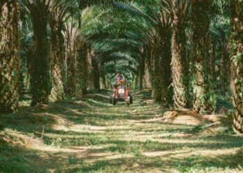 JOHOR Plantations Group.