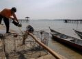 SEORANG nelayan di Pengkalan Kampung Telok, Pasir Panjang, Port Dickson hari ini membersihkan tangguk kerangnya untuk disimpan selepas larangan menuai kerang-kerangan di perairan Port Dickson dikeluarkan hari ini.--UTUSAN/MOHD SHAHJEHAN MAAMIN.