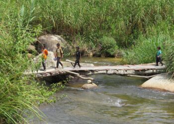 KANAK-kanak Orang Asli menggunakan jambatan sementara Pos Balar, Gua Musang, Kelantan yang dibina secara bergotong-royong oleh penduduk kampung. – UTUSAN/AIMUNI TUAN LAH