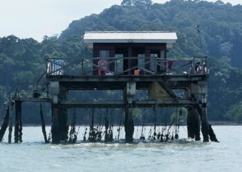 PENTERNAKAN kupang melalui sistem panggar yang dilaksanakan di perairan Pasir Panjang, Port Dickson.-UTUSAN/MOHD. SHAHJEHAN MAAMIN.