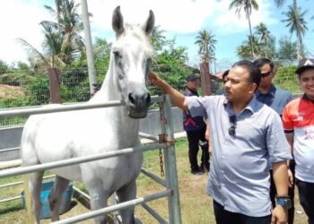 MOHD. Yusoff Mamat (kanan) melihat salah seekor kuda yang menyertai Kejohanan Kuda Lasak Peringkat Negeri Kelantan 2025 di Bachok, Kelantan. - UTUSAN/ROHANA MOHD. NAWI