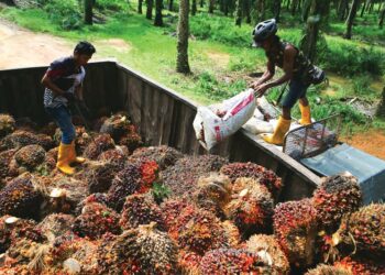 HLIB Research mengekalkan saranan ‘beli’ terhadap saham KLK dengan harga sasaran lebih tinggi pada RM24.65 sesaham.