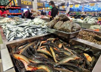 HIDUPAN marin terdedah kepada mikroplastik melalui proses penapisan makanan dan pengambilan mangsa tercemar.