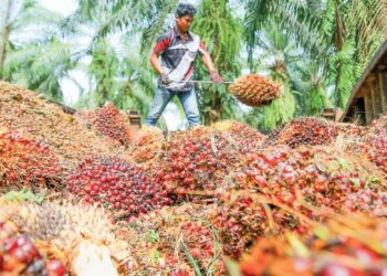 PHILIP Capital dan RHB Investment Bank mengekal pendirian ‘neutral’ terhadap sektor peladangan.