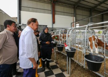ANWAR Ibrahim hadir di Karnival Usahawan Tenusu Madani di Kompleks Tenusu Farm Fresh di Larut, Perak hari ini. - UTUSAN/MUHAMAD NAZREEN SYAH MUSTHAFA