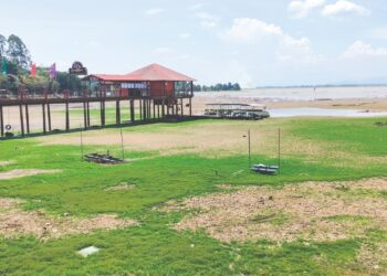 KEADAAN dasar Tasik Bukit Merah yang ditumbuhi rumput berikutan air tasik surut akibat cuaca panas ketika tinjauan di Bagan Serai, Perak kelmarin. – UTUSAN/WAT KAMAL ABAS