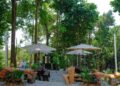 KAFE ThinkCup yang berkonsep alam semula jadi di Bukit Merah Laketown Resort.