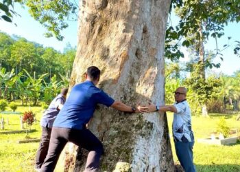 FADZLI Mohamad Kamal (kanan) bersama empat penduduk mengukur lilitan batang pokok getah berusia hampir 100 tahun di Kampung Kuala Keloi di Raub, Pahang. 