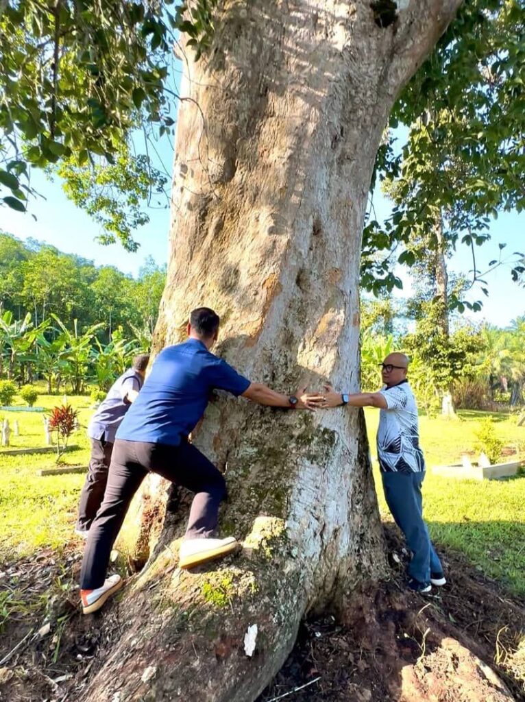 Pokok getah tertua Raub simbol sejarah komoditi negara