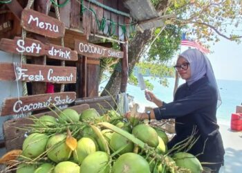NURUL Qistina Insyirah memilih kelapa muda untuk pelanggan di Pantai Teluk Nipah, Pulau Pangkor, Perak. – UTUSAN/AIN SAFRE BIDIN