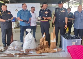 DZULKHAIRI (tengah) menunjukkan sebahagian daripada hasil rampasan kayu gaharu dan peralatan yang dirampas dalam serbuan di sebuah kilang di Kawasan Perindustrian Bukit Rambai, Melaka, hari ini.-UTUSAN/AMRAN ALI.