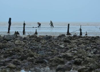 GAMBAR fail menunjukkan penduduk Kampung Telok, Pasir Panjang, Port Dickson mencari kerang di kawasan pantai.-UTUSAN/ MOHD. SHAHJEHAN MAAMIN.