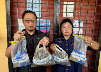 KASIM Tawe (kiri) menunjukkan sampel kedua kupang yang telah diambil ketika ditemui pemberita di Jeti Pengkalan Nelayan, Kampung Telok, Pasir Panjang, Port Dickson hari ini. - UTUSAN/NOR SHAFIQAH MOHD. GHAZALI