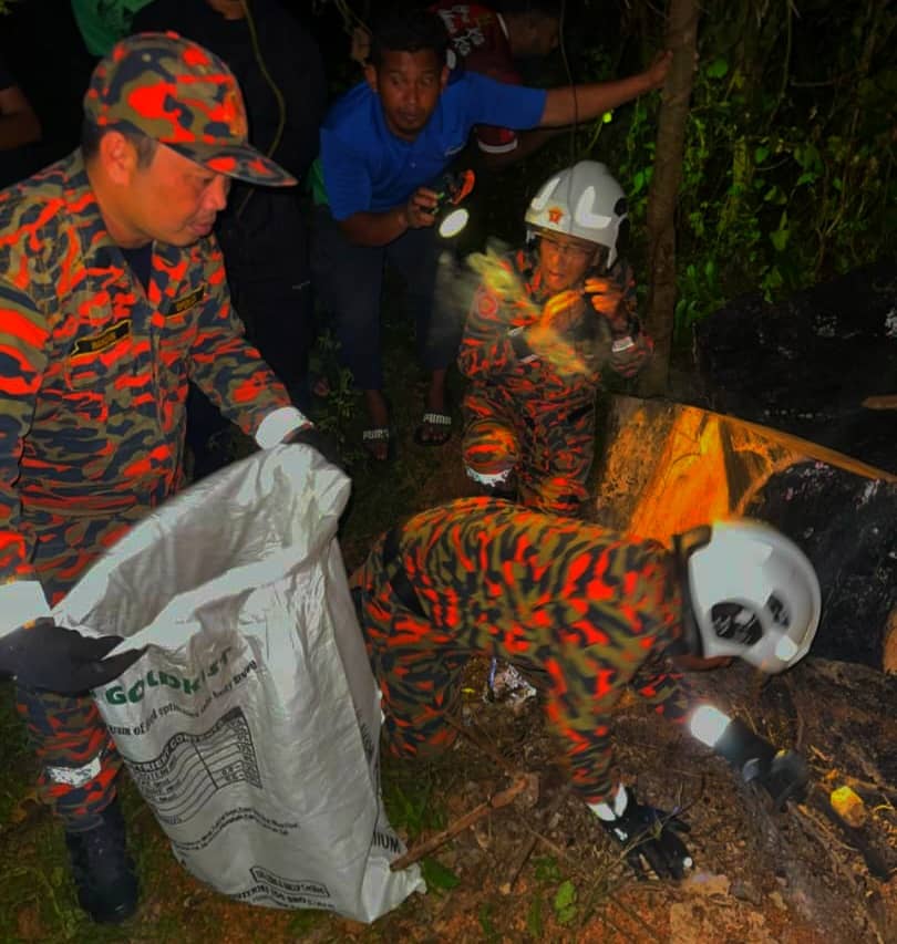 67 ekor anak ular sawa ditemukan di Kuala Krai