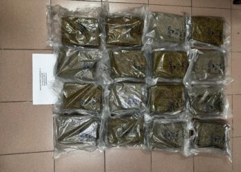 SEBAHAGIAN daripada ketulan mampat ganja yang dirampas dalam serbuan di beberapa lokasi di George Town, Pulau Pinang baru-baru ini.-GAMBAR/PDRM