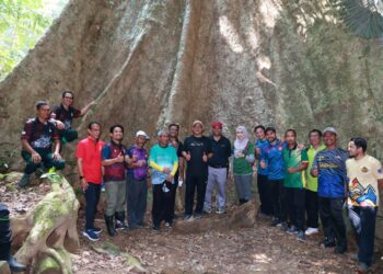 MOHD. Salleh Saidin (tengah) bersama pegawai agensi-agensi bergambar di bahagian banir pokok mengkundor berusia lebih 100 tahun di Hutan Simpan Gunung Jerai, Gurun.