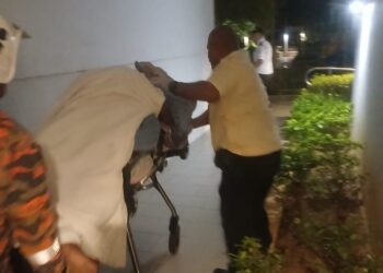 MANGSA berusia 24 tahun yang mengalami masalah mental cedera parah selepas dipercayai terjatuh dari tingkat tujuh sebuah kondominium di Jalan Tun Perak, di sini malam tadi.