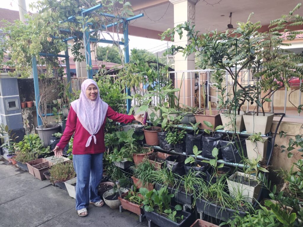 Bangunkan kebun mini MAHA di rumah 1 WhatsApp Image 2025 08 26 at 9.01.35 AM 1