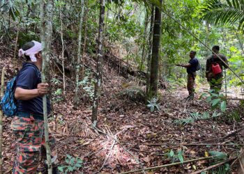 ANGGOTA bomba menjalankan operasi pencarian lelaki Orang Asli yang dilaporkan hilang di Pulau Perhentian Lama, Tasik Banding, Gerik.