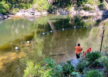 ORANG ramai yang ke Santuari Kelah Tasik Kenyir, Hulu Terengganu tertanya-tanya ke mana hilangnya ikan kelah yang menjadi spesies tarikan utama di situ.