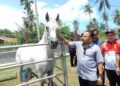 MOHD. Yusoff Mamat (kanan) melihat salah seekor kuda yang menyertai Kejohanan Kuda Lasak Peringkat Negeri Kelantan 2025 di Bachok, Kelantan. - UTUSAN/ ROHANA MOHD.NAWI