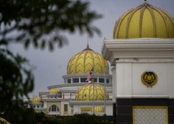 INSTITUSI raja mempunyai peranan dalam pemerintahan negara berdasarkan Perlembagaan Persekutuan.