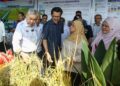 AHMAD Zahid Hamidi pada Majlis Pengisytiharan Keuntungan Boleh Agih Interim 1/2025 Projek-projek Peserta Felcra Berhad di Pusat Benih Padi Felcra Plantation Sdn Bhd di Pasir Salak hari ini. - UTUSAN/MUHAMAD NAZREEN SYAH MUSTHAFA