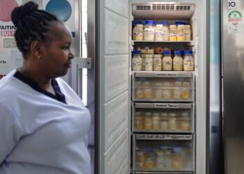 SEORANG jururawat menunjukkan stok susu ibu sumbangan di dalam peti sejuk beku di bank susu ibu Hospital Bersalin Pumwani, Nairobi.-AFP