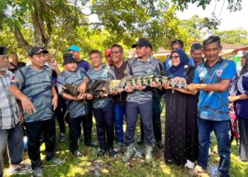 TUMINAH Kadi (dua dari kanan) bersama pasukan Perhilitan menunjukkan buaya tembaga yang berjaya ditangkap di Sungai Paya Luboh, Melaka.
