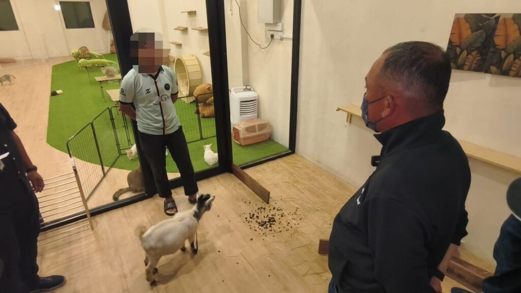 Restoran mi segera pamerkan 23 ekor haiwan diarah tutup tujuh hari 1 230825 MLK ARAH TUTUP