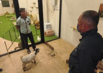 SHADAN OTHMAN melakukan pemeriksaan ke atas restoran mi segera di Kampung Jawa, Melaka yang menempatkan 23 haiwan peliharaan sebelum diarahkan tutup selama tujuh hari.