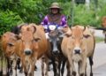 PERKUKUH peranan wanita dalam keamanan dan keselamatan sebagai syarat utama bagi memastikan pembangunan negara yang inklusif dan mampan.