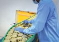 KEUSAHAWANAN sosial membuka ruang untuk mereka melontarkan idea baharu, mengasah bakat serta mencipta impak positif tanpa terikat dengan birokrasi.– GAMBAR HIASAN