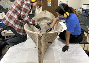 AHLI arkeologi melakukan pemeriksaan terhadap perahu purba yang ditemukan di Florida pada 2022. – AGENSI