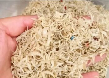 POTONGAN kuku akan dibersihkan, dikeringkan dan digiling menjadi serbuk halus sebelum dicampurkan ke dalam pelbagai produk perubatan. – AGENSI