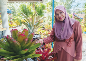 KONTEK Kamariah menunjukkan pokok bunga nanas di kediamannya di Pulau Bongek, Rembau semalam. – UTUSAN/NOR AINNA HAMZAH