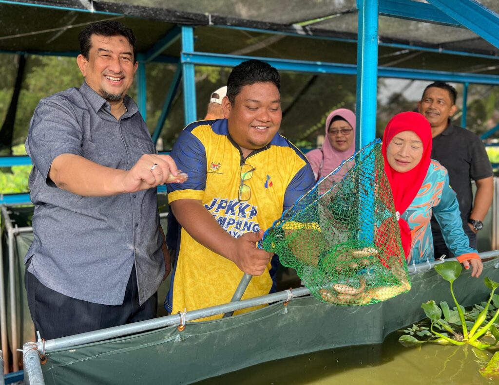 Komuniti kampung ternak puyu hibrid 1 4b85c968 fc07 4b04 a5e7 67838133034b