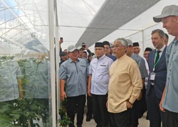 AL-SULTAN Abdullah Ri'ayatuddin Al-Mustafa Billah Shah melawat kebun sayur selepas merasmikan Pertanian Moden Lestari Cameron Highlands (SMACH) Agropark Fasa 1 di Tringkap di Cameron Highlands, Pahang.