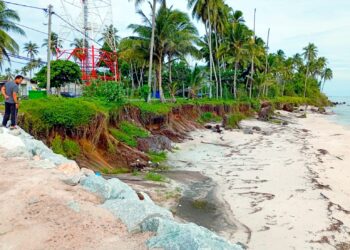 HAKISAN pantai di Kampung Tanjung , Batu Rakit, Kuala Nerus, Terengganu semakin membimbangkan penduduk apabila semakin menghampiri jalan utama – UTUSAN/ERMA YUSNIDA JUSOH