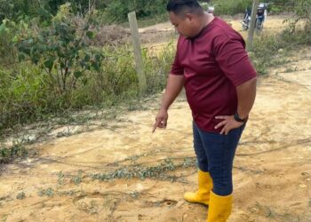 AHMAD Norfaes Kama Luddin menunjukkan kesan tapak kaki harimau kumbang yang dijumpai di dusun durian kawannya di Kampung Bemban, Kuala Pilah. -UTUSAN / NOR SHAFIQAH MOHD. GHAZALI