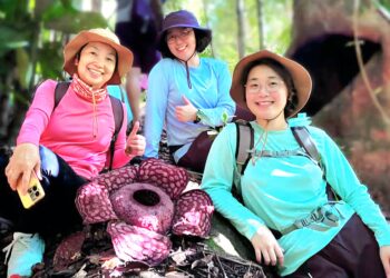 Sebahagian pengunjung bergambar kenangan bersama bunga Rafflesia ketika melawat Hutan Simpan Sungai Rengat, Ulu Cheka, Jerantut. – utusan/HARIS FADILAH AHMAD