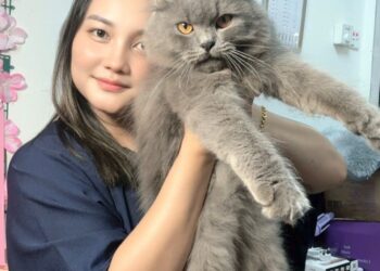 ida Datu bersama Grey yang manja dan banyak keletah nakal di rumah.