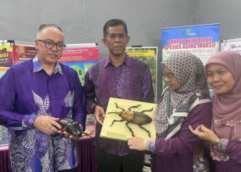 MAT IESAK NGATHINEE (dua dari kiri) menunjukkan replika Kumbang Badak Guam (kiri) serta Kumbang Merah Palma yang menjadi ancaman kepada tanaman kelapa dan kelapa sawit di negara ini.