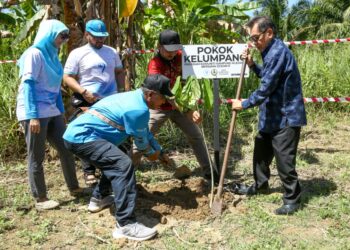 RAJA Kamar Azhar Raja Muda Ahmed Siffudin (tengah) menanam pokok bunga Kelumpang pada program komuniti Kampung Kledang bersempena Hari Malaysia di Kuala Kangsar kelmarin.  - UTUSAN/MUHAMAD NAZREEN SYAH MUSTHAFA