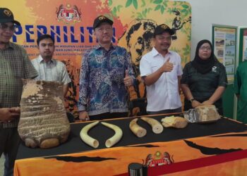 JAMIL HASNI (tengah) ketika hadir Majlis Perasmian Program Sambutan Hari Gajah 2025, di Dewan JDT Felda Tenggaroh 5, Mersing, di sini hari ini.