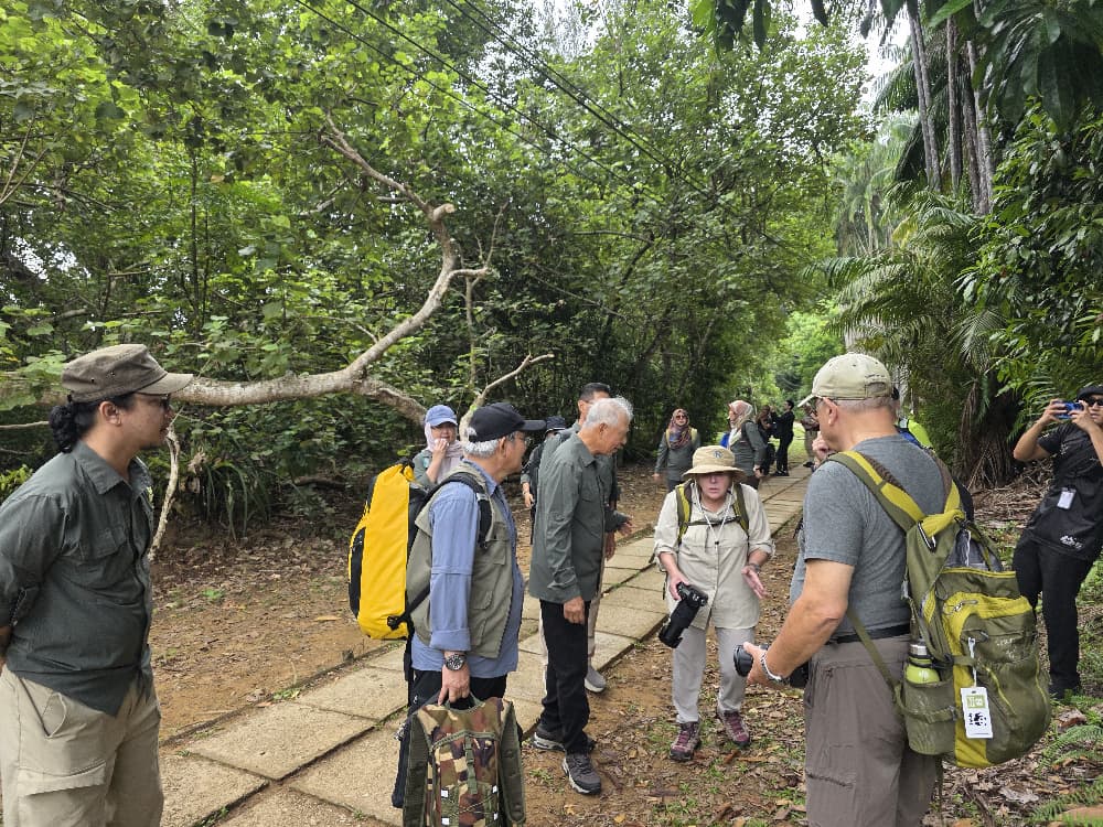 Pemandu taman di Sarawak tidak mencukupi