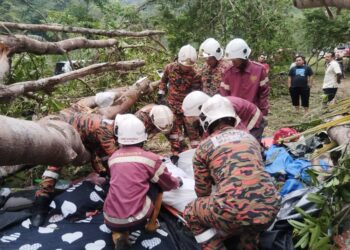 ANGGOTA bomba mengeluarkan seorang wanita yang maut selepas khemahnya dihempap pokok di tapak perkhemahan Pulau Santap, Janda Baik, Bentong, Pahang. - IHSAN JBPM PAHANG