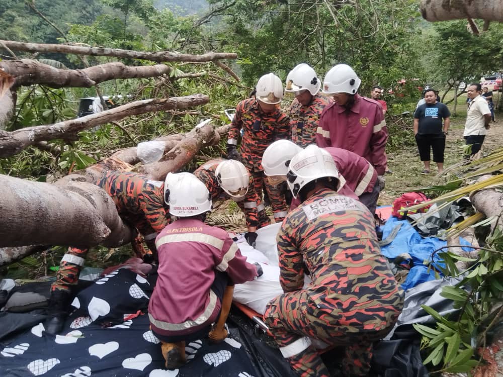 Wanita maut dihempap pokok di Janda Baik 1 jansda