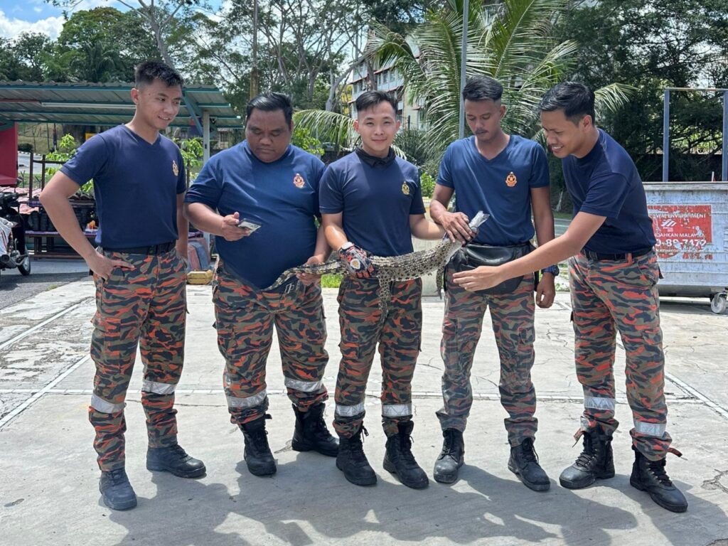 jhr anak buaya