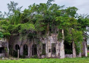 KEADAAN bangunan lama Istana Raja Muda di Teluk Intan yang ditumbuhi pokok sehingga sukar untuk dibaik pulih ketika tinjauan semalam. - UTUSAN/AIN SAFRE BIDIN